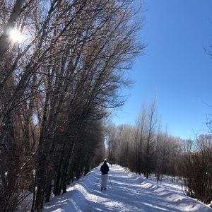 Meet your Posher, Holly